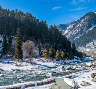 Beautiful Kashmir Snow